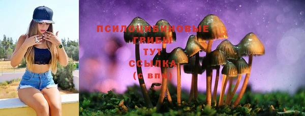 альфа пвп Беломорск