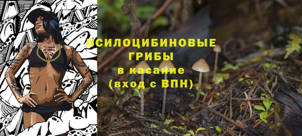 ALPHA PVP Белокуриха