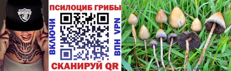 Галлюциногенные грибы мухоморы  Кущёвская 